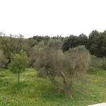 Olives & Figs Retreat By The Sea - Zen 100 M From The