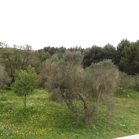 Cosy 100 M From The