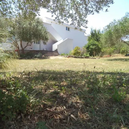 Olives & Figs Retreat By The Sea - Zen 100 M From The Apartment *