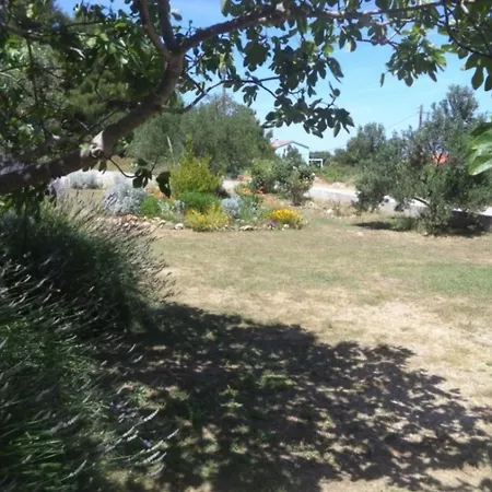 Olives & Figs Retreat By The Sea - Zen 100 M From The * Dobropoljana