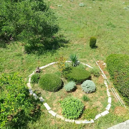Olives & Figs Retreat By The Sea - Zen 100 M From The Dobropoljana