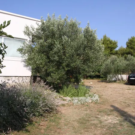 Olives & Figs Retreat By The Sea - Zen 100 M From The